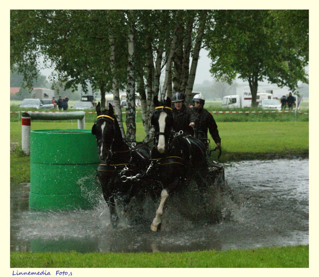 tl_files/hansmeier/images/news/saison 2014/Foto 4.PNG